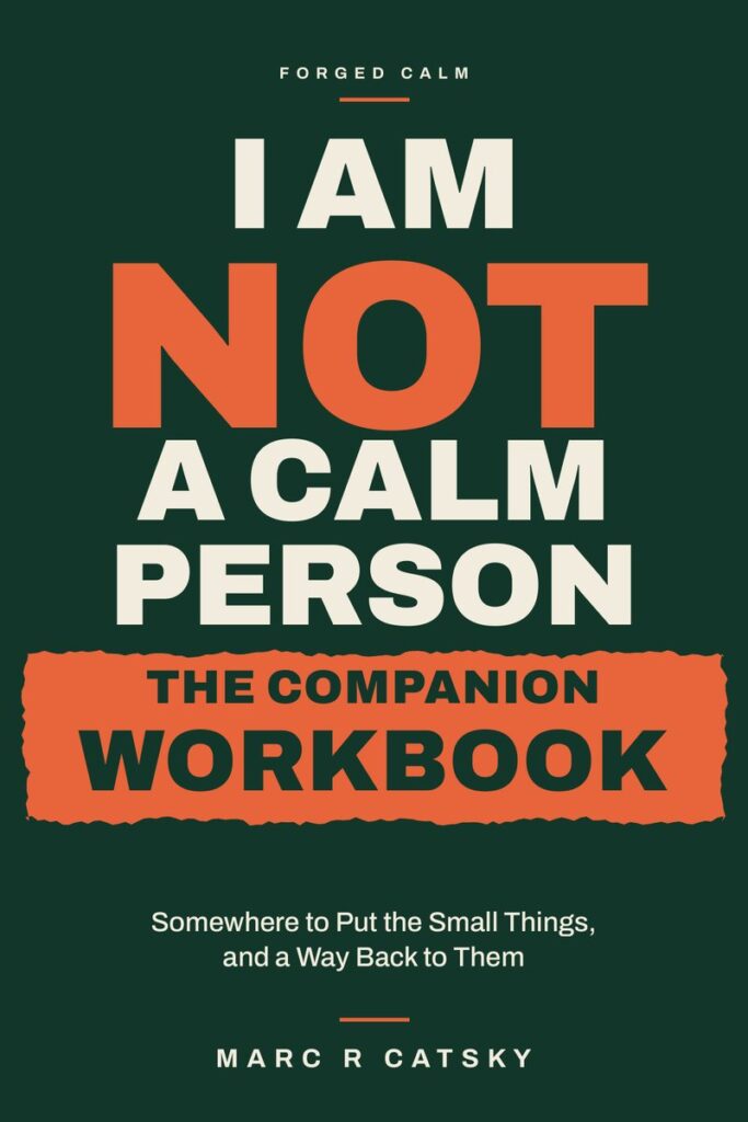 Front cover of I AM NOT A CALM PERSON: The Companion Workbook by Marc R Catsky.